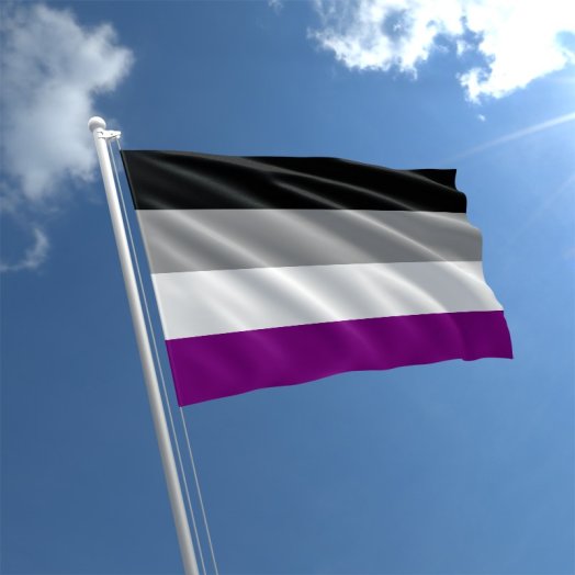 PrideOutlet > Pride > Asexual